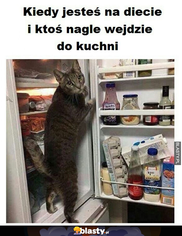 Kiedy jesteś na diecie