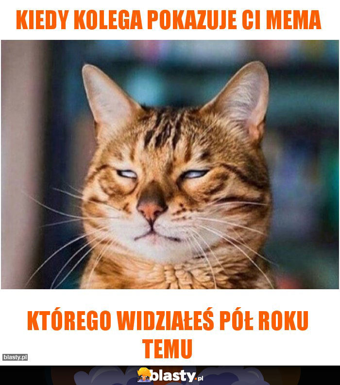 Kiedy kolega pokazuje ci mema