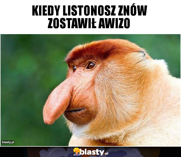 Kiedy listonosz znów zostawił awizo