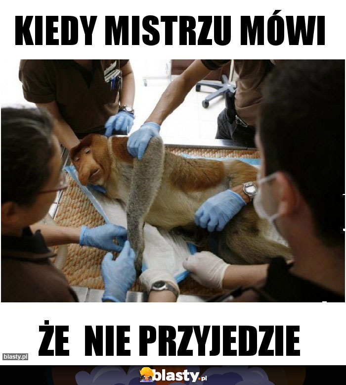 KIEDY MISTRZU MÓWI