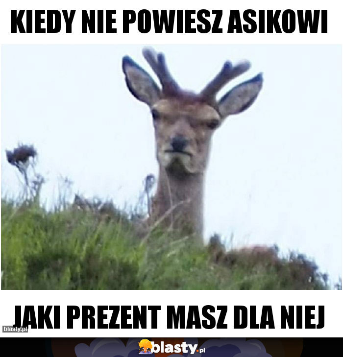 KIEDY NIE POWIESZ ASIKOWI