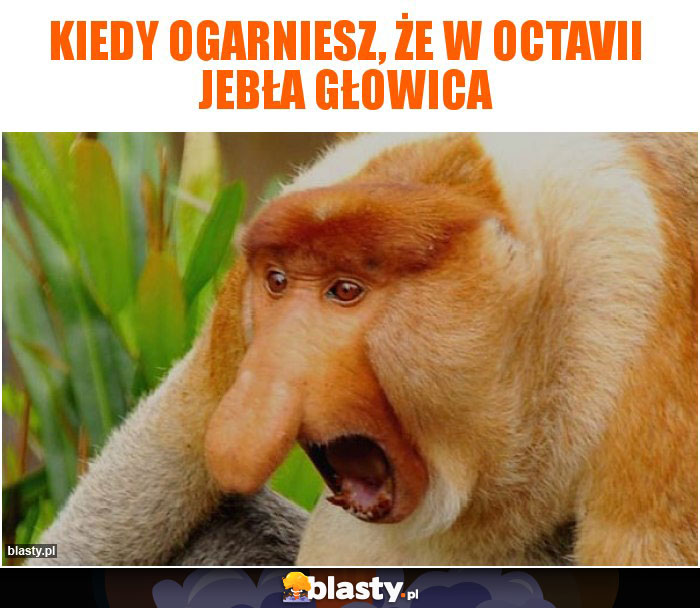 Kiedy OGARNIESZ, ŻE W OCTAVII JEBŁA GŁOWICA Kiedy OGARNIESZ, ŻE W OCTAVII JEBŁA GŁOWICA