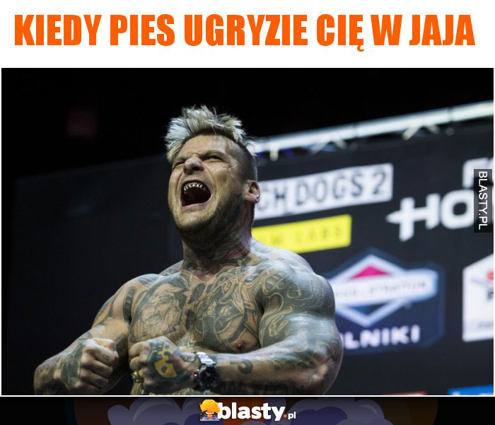 Kiedy pies ugryzie Cię w jaja