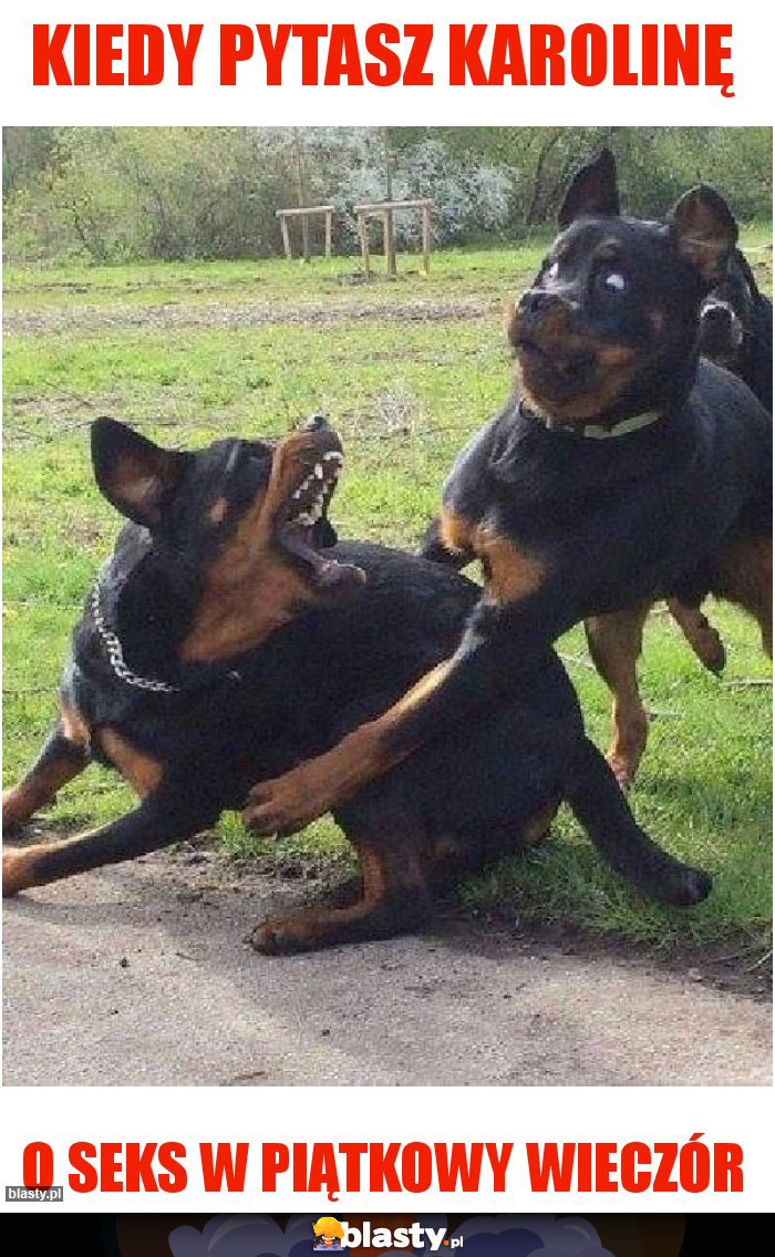KIEDY PYTASZ KAROLINĘ
