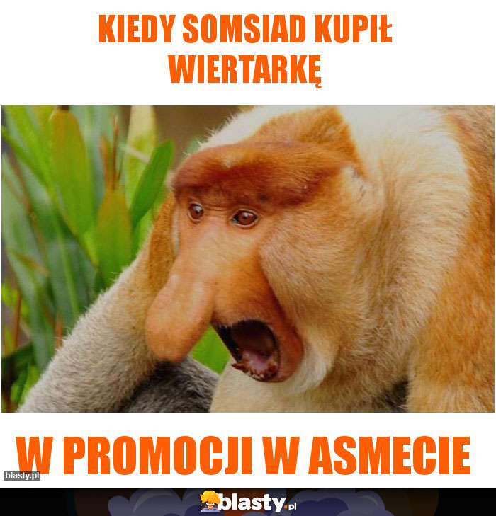KIEDY SOMSIAD KUPIŁ WIERTARKĘ KIEDY SOMSIAD KUPIŁ WIERTARKĘ