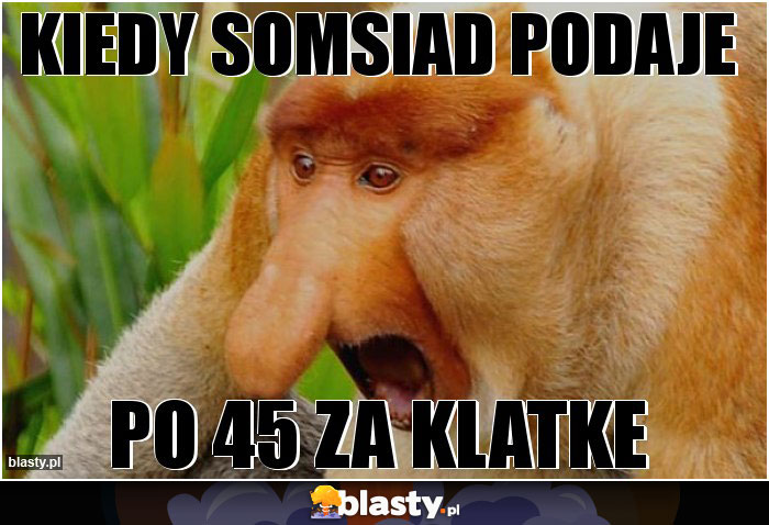 KIEDY SOMSIAD PODAJE