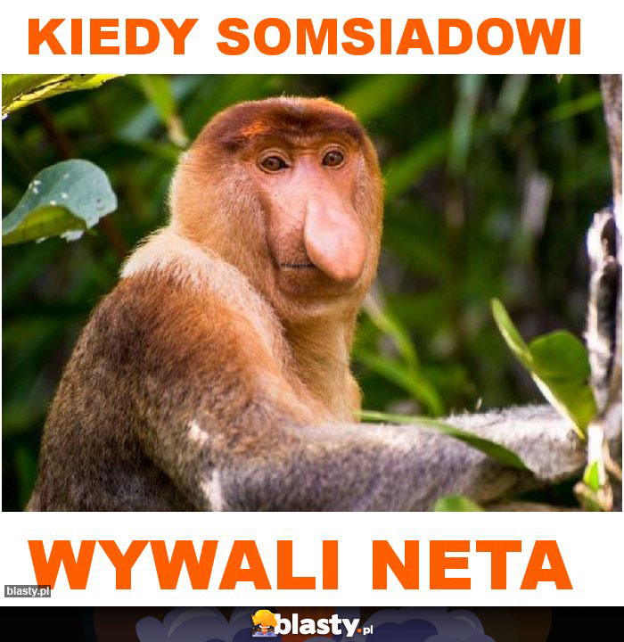Kiedy somsiadowi