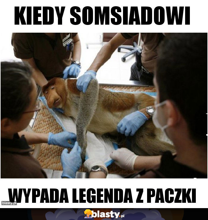 KIEDY SOMSIADOWI