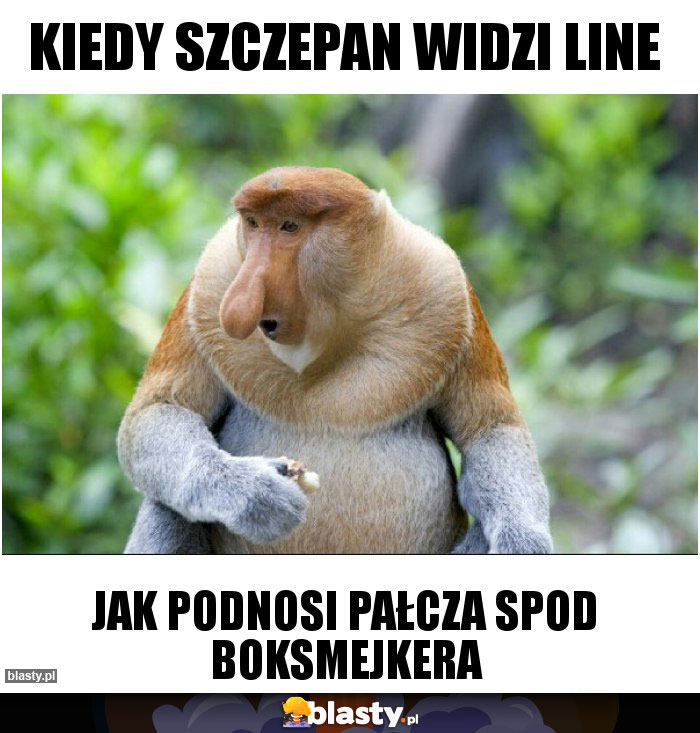 Kiedy Szczepan widzi line