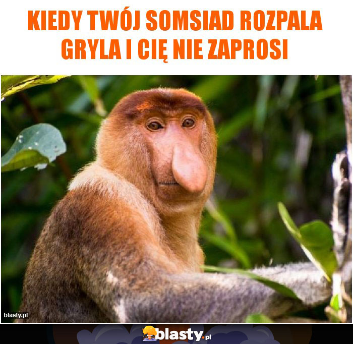 kiedy twój somsiad rozpala gryla i cię nie zaprosi