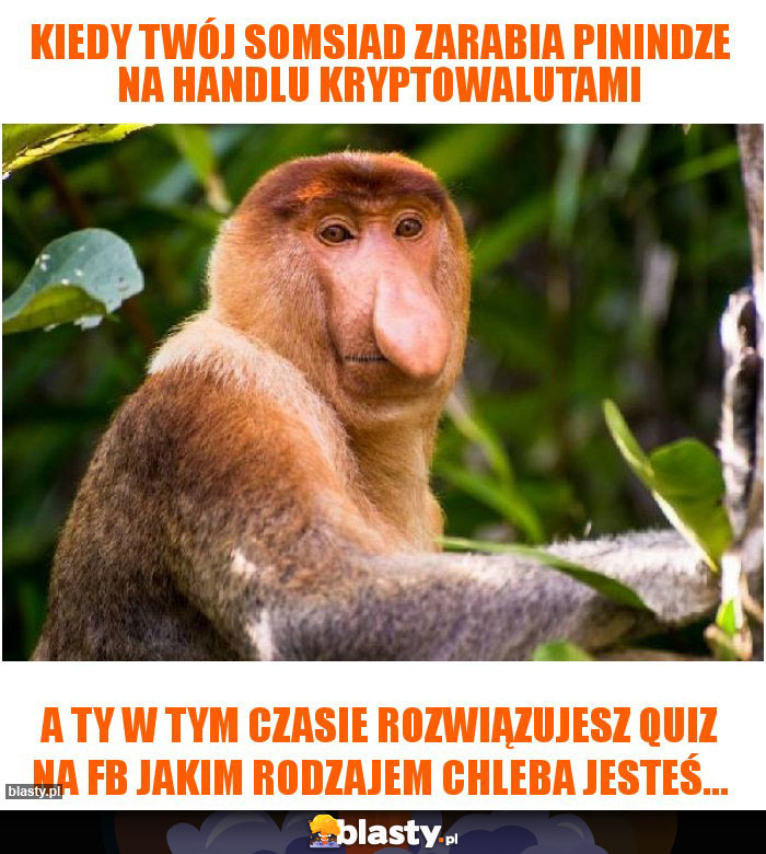 Kiedy twój somsiad zarabia pinindze na handlu kryptowalutami Kiedy twój somsiad zarabia pinindze na handlu kryptowalutami