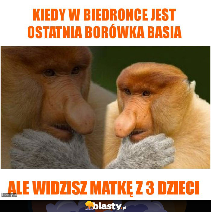 Kiedy w Biedronce jest ostatnia borówka basia