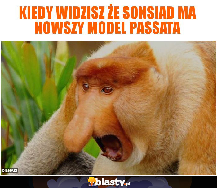 Kiedy widzisz że sonsiad ma nowszy model passata