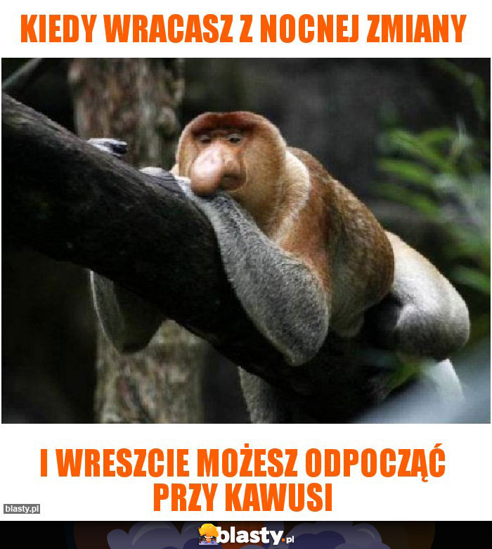 Kiedy wracasz z nocnej zmiany