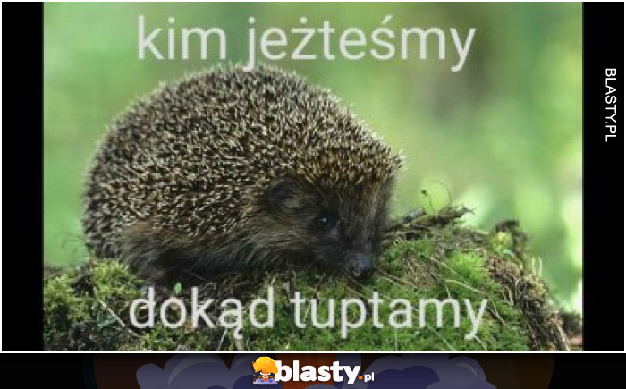 Kim jeżteśmy dokąd tuptamy