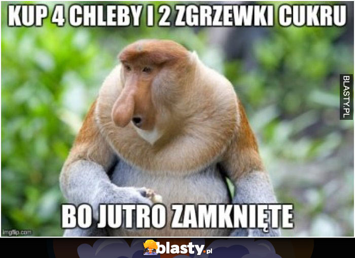 Kup 4 chleby i 2 zgrzewki cukru