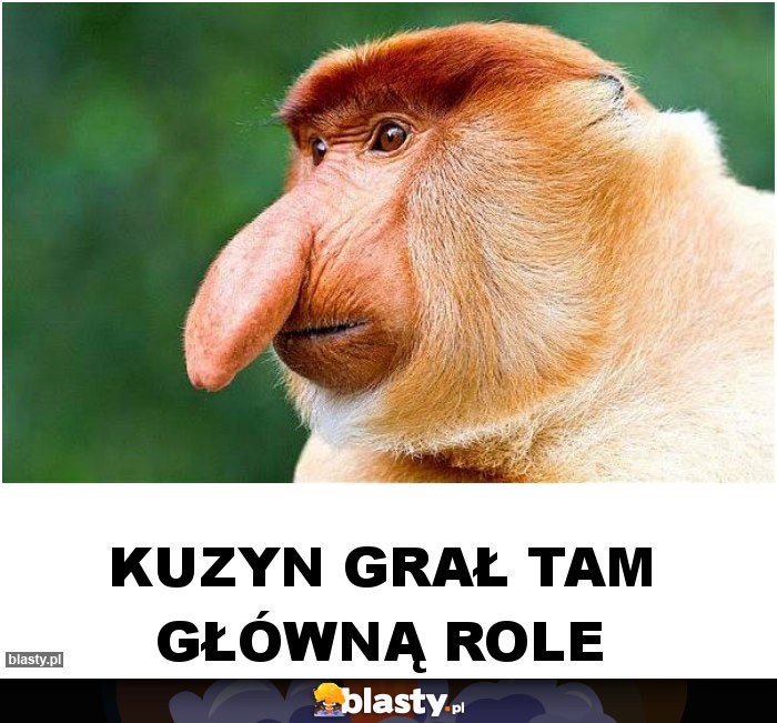 Kuzyn grał tam główną role