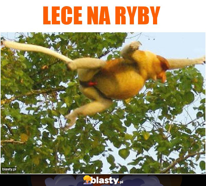 Lece na ryby