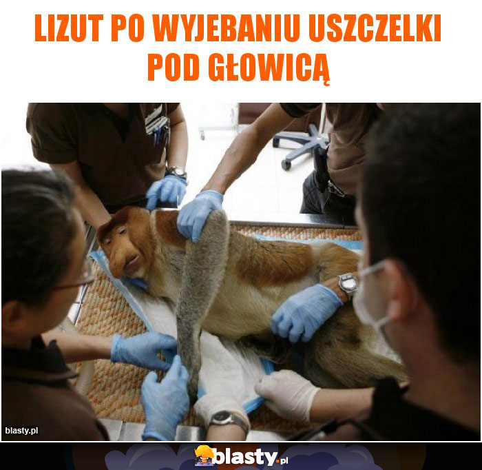LIZUT PO WYJEBANIU USZCZELKI POD GŁOWICĄ