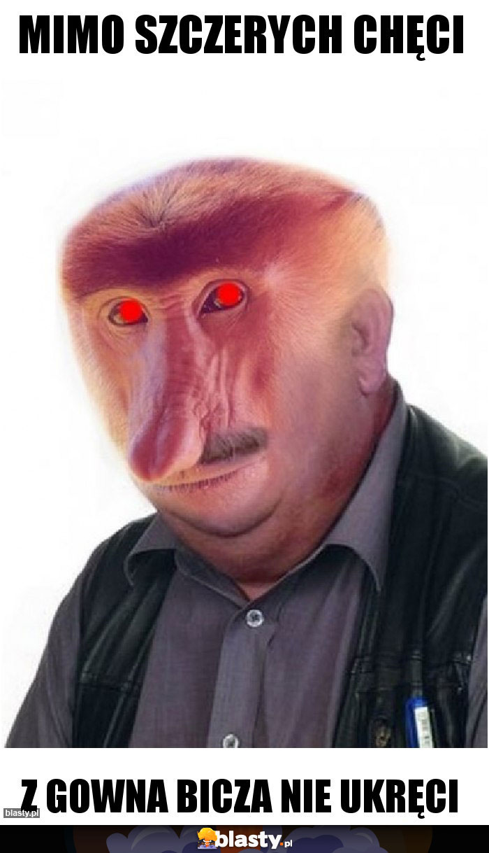 MIMO SZCZERYCH CHĘCI MIMO SZCZERYCH CHĘCI