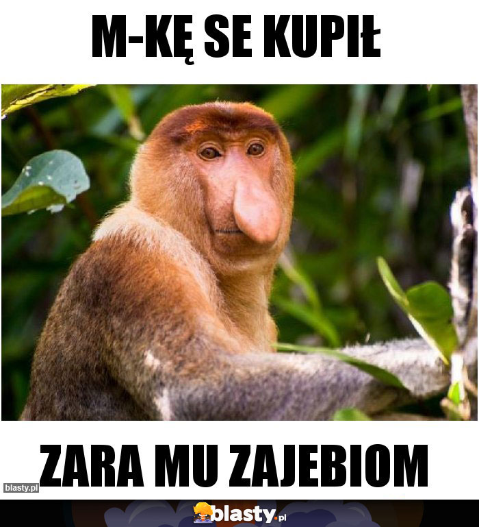 M-kę se kupił