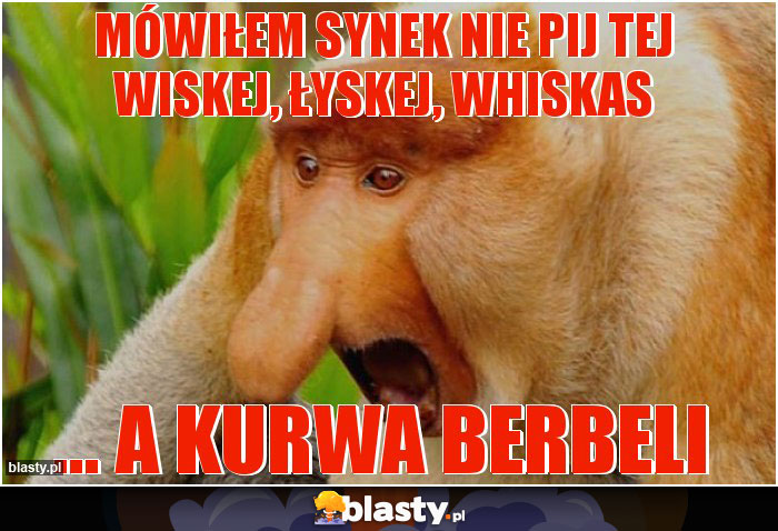 Mówiłem synek nie pij tej WISKEJ, łyskej, whiskas Mówiłem synek nie pij tej WISKEJ, łyskej, whiskas