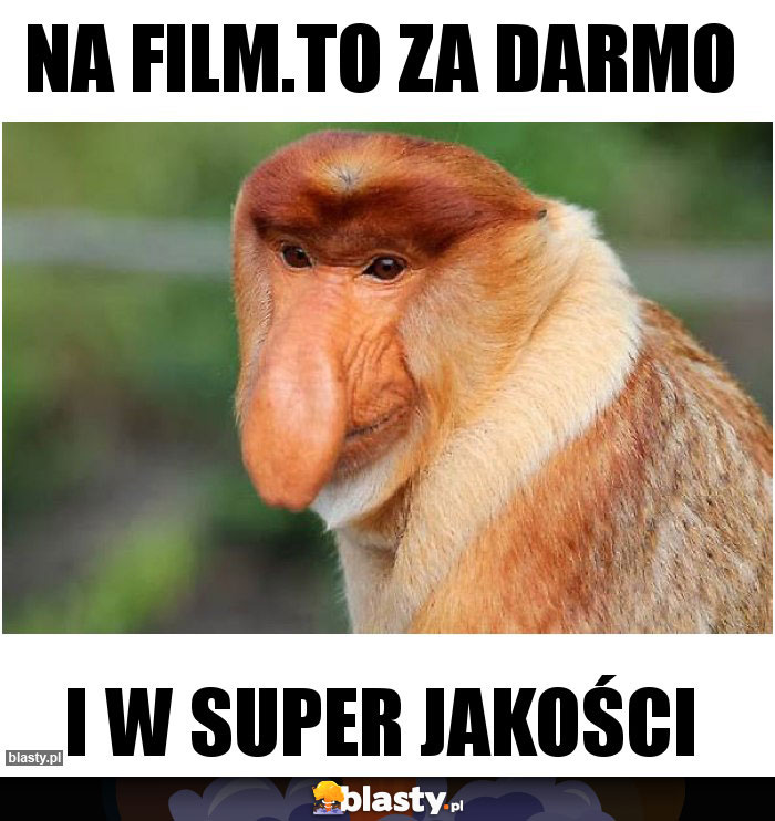 Na film.to za darmo