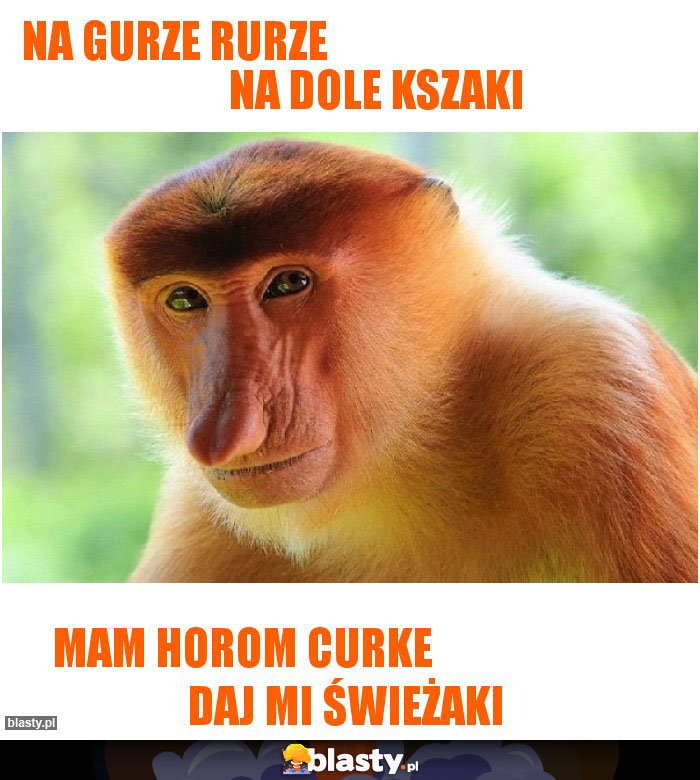 Na gurze rurze                                              na dole kszaki