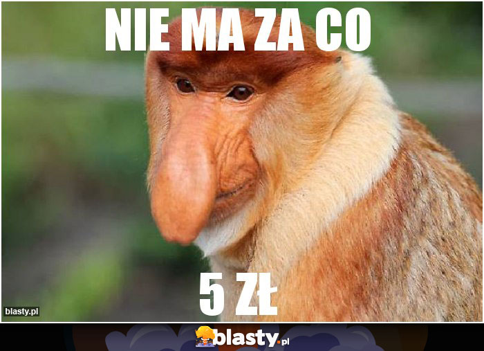 Nie ma za co Nie ma za co