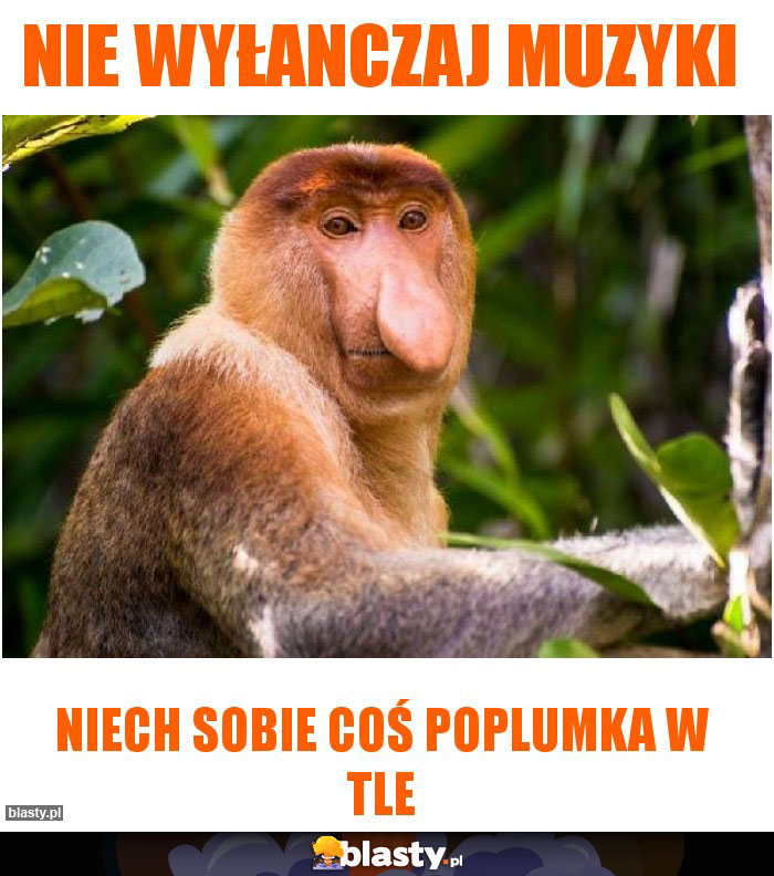 NIE WYŁANCZAJ MUZYKI