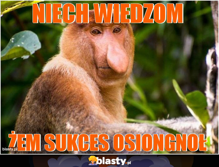 Niech wiedzom