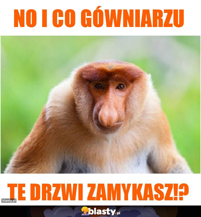 no i co gówniarzu