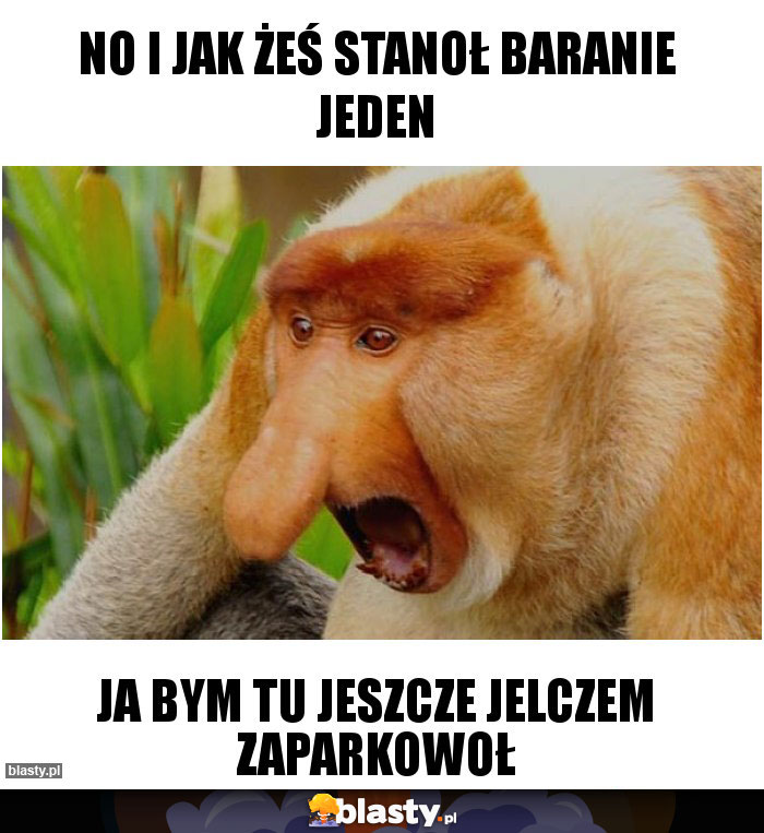 No i jak żeś stanoł baranie jeden No i jak żeś stanoł baranie jeden