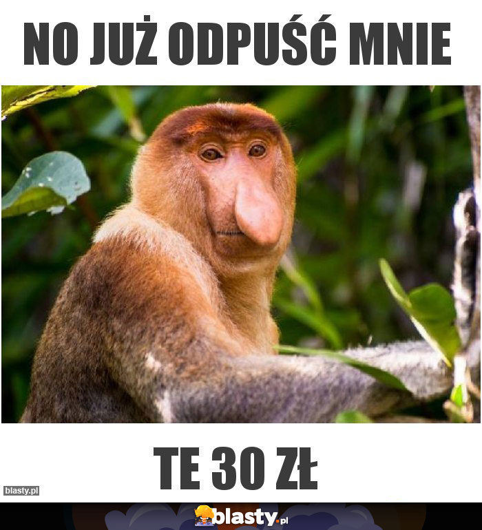 NO JUŻ ODPUŚĆ MNIE NO JUŻ ODPUŚĆ MNIE