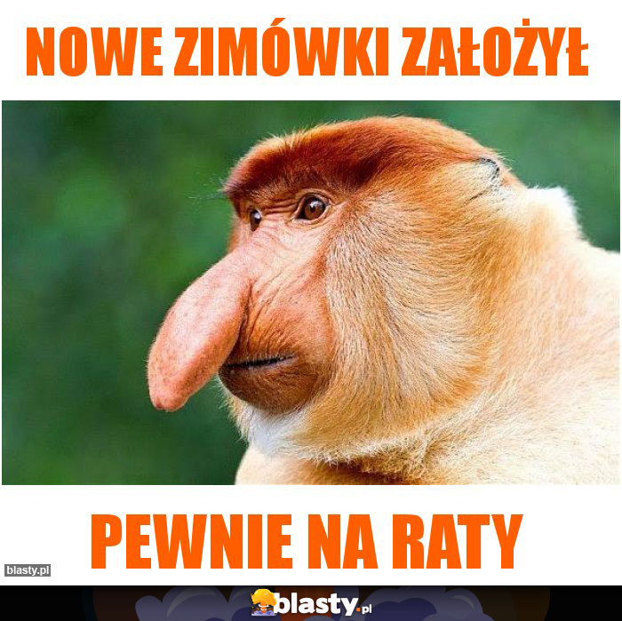 Nowe zimówki założył Nowe zimówki założył