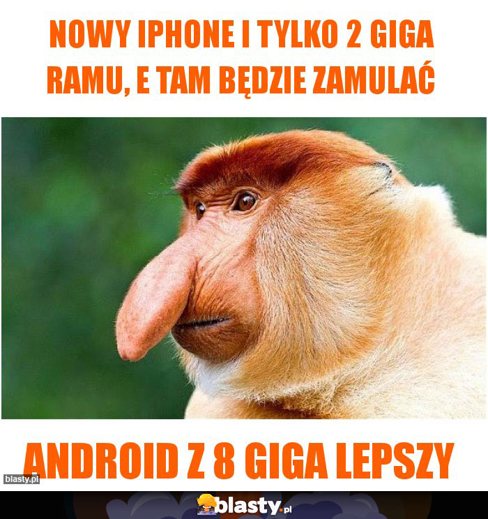 Nowy iphone i tylko 2 giga ramu, e tam będzie zamulać