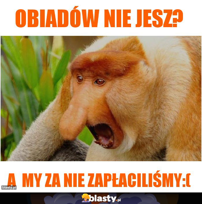 Obiadów nie jesz?