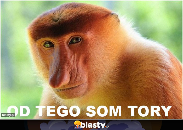 OD TEGO SOM TORY