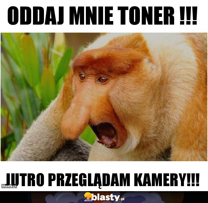 Oddaj mnie toner !!!