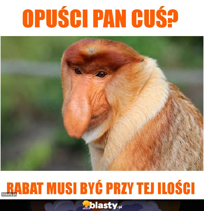 Opuści Pan cuś?