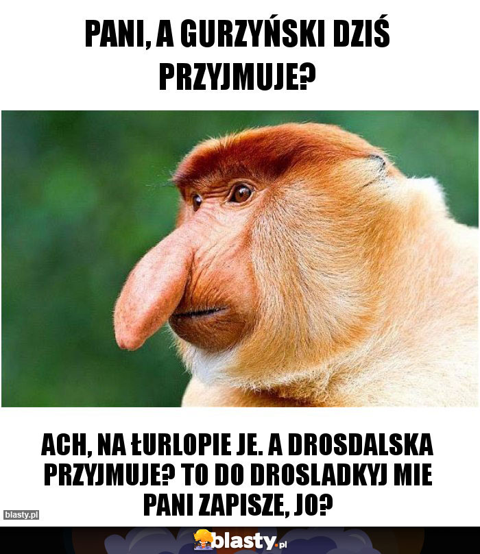 Pani, a Gurzyński dziś przyjmuje?