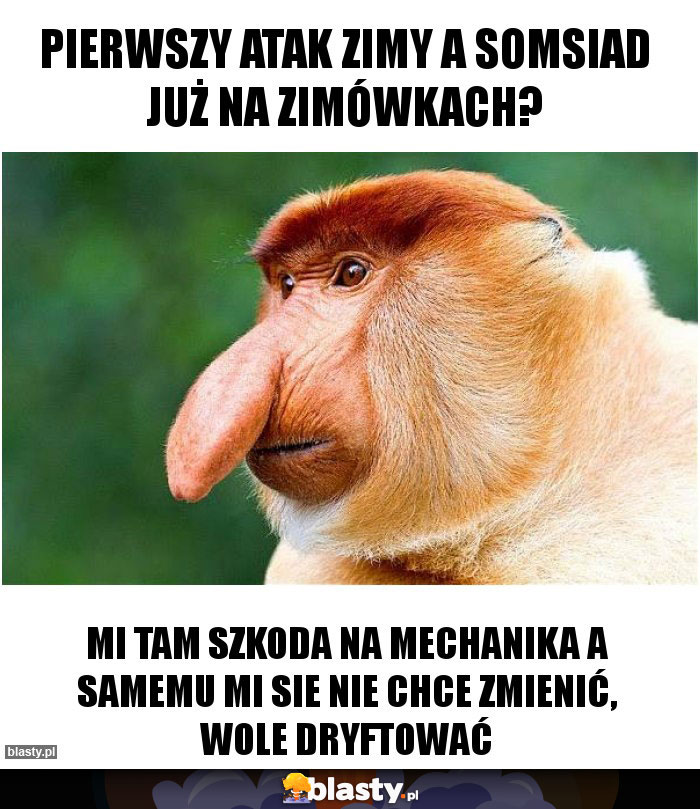 pierwszy atak zimy a somsiad już na zimówkach? pierwszy atak zimy a somsiad już na zimówkach?