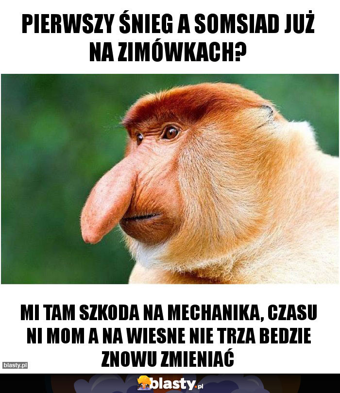 pierwszy śnieg a somsiad już na zimówkach? pierwszy śnieg a somsiad już na zimówkach?