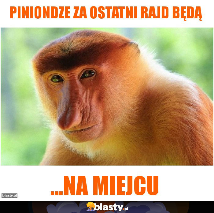 Piniondze za ostatni rajd będą