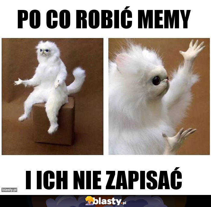 Po co robić memy Po co robić memy