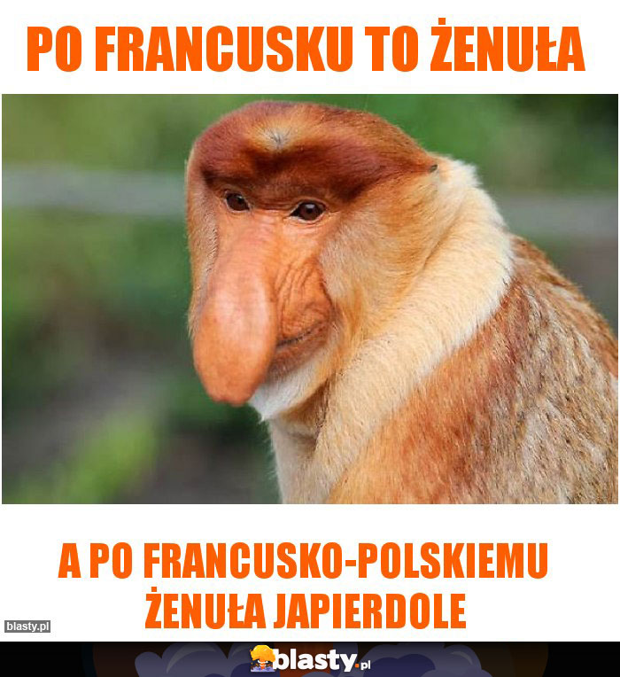 Po francusku to żenuła