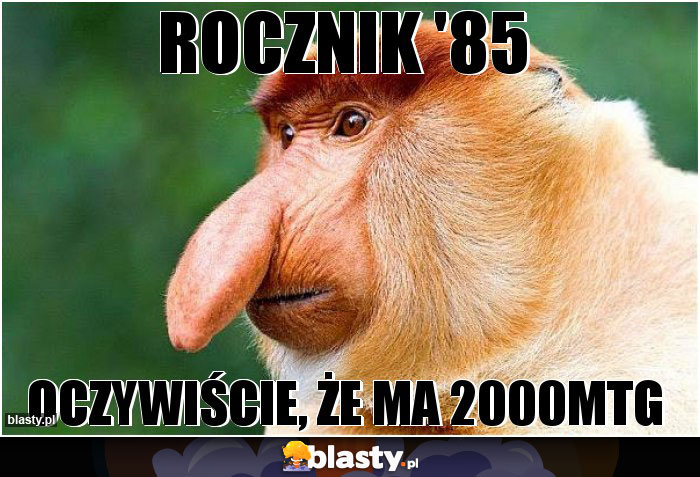 Rocznik '85 Rocznik '85
