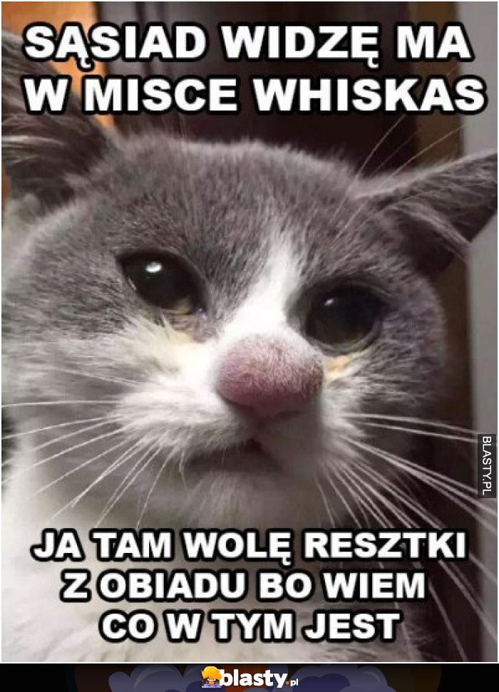 Sąsiad widzę ma w misce whiskas