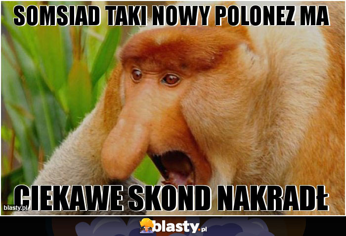 Somsiad taki nowy polonez ma