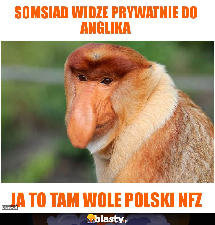 SOMSIAD WIDZE PRYWATNIE DO ANGLIKA